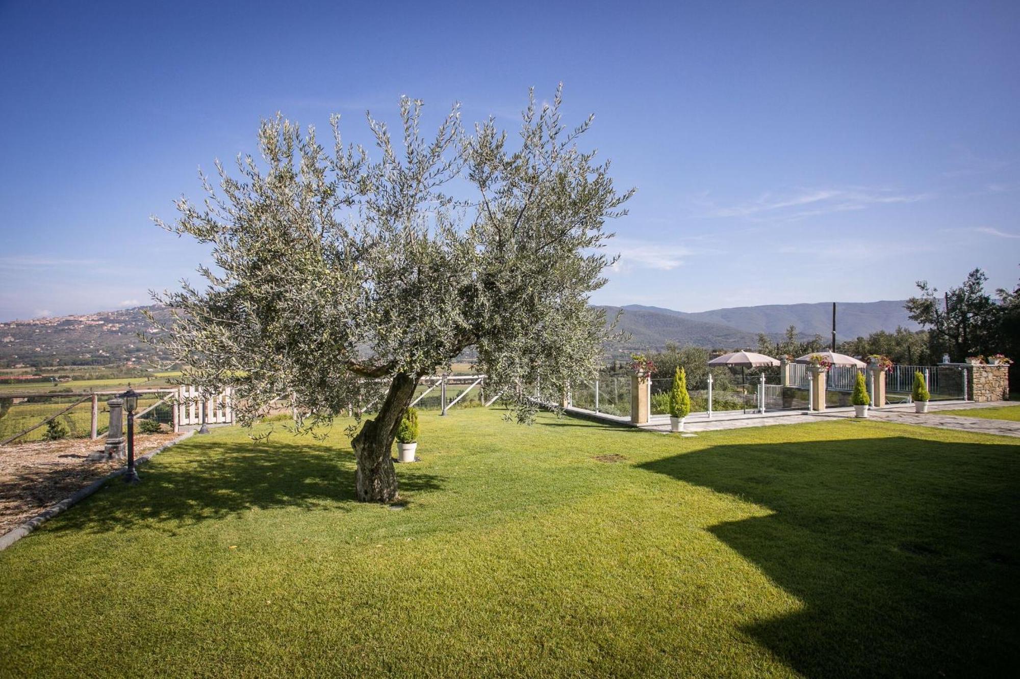 Villa Chiara Cortona Zewnętrze zdjęcie